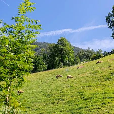 Holiday home Appartementhaus Zellner