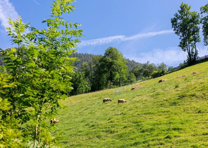 Casa vacanze Zellner